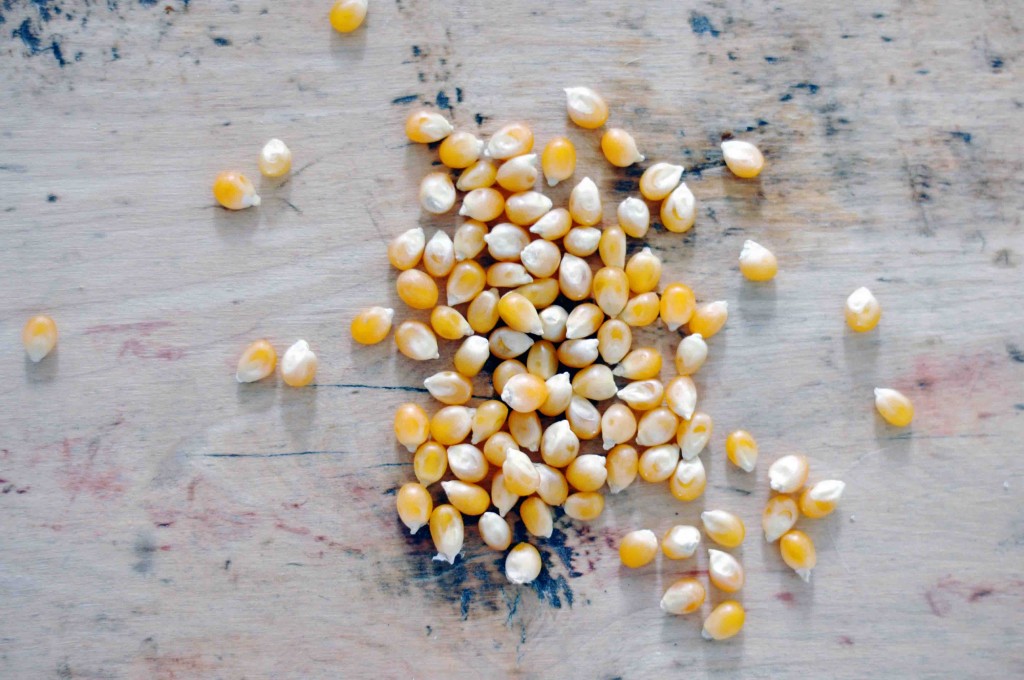 Sea Salt & Honey Butter Popcorn Lark & Linen Interior Design and Lifestyle Blog