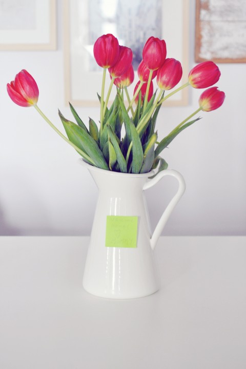 lark-linen_tulip-surprise
