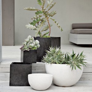 Black and white pots