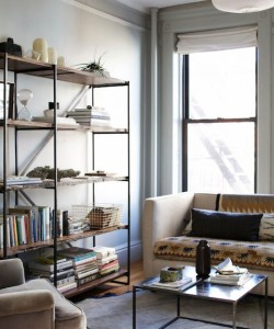 Brooklyn apartment: cozy living room