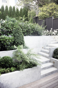 Garden stairs inspiration