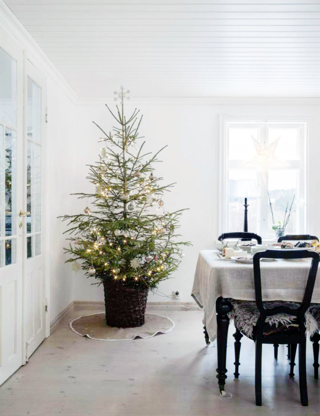 christmas-tree-sweden