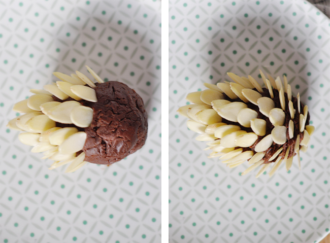 Chocolate pine cones