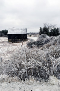 winter farm