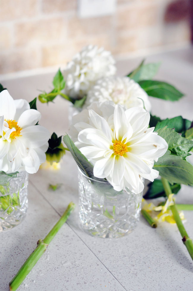 white-flowers