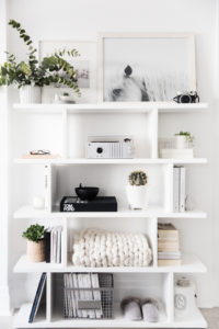 White shelves
