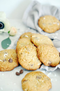 coconut chocolate chip cookies