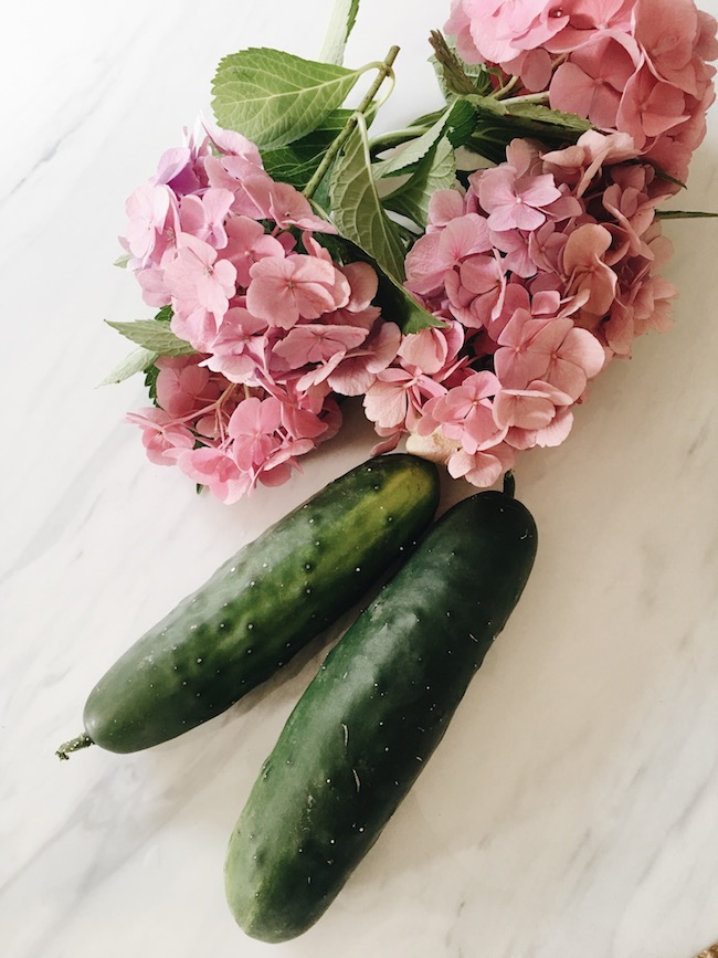 Fresh cucumbers from the garden