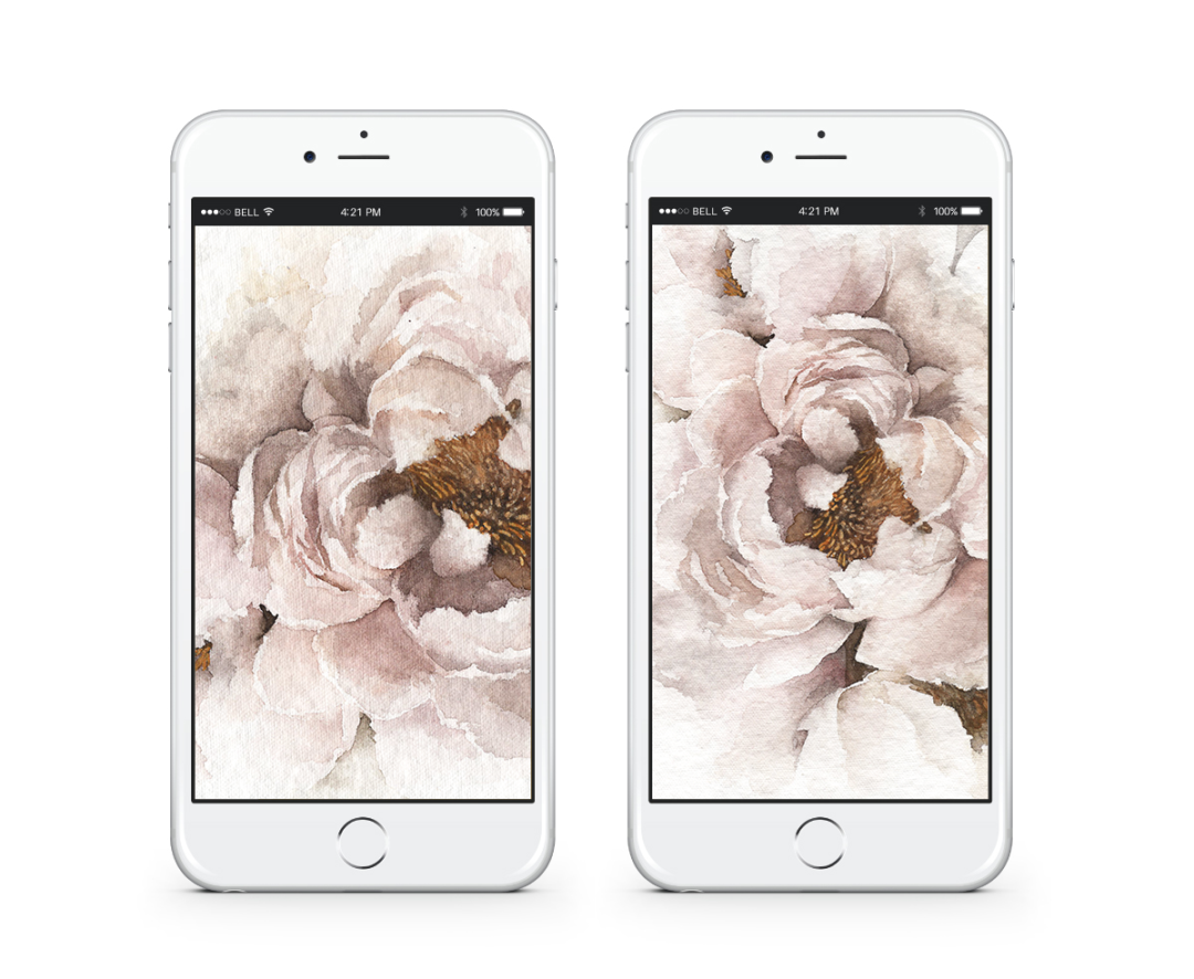 Dress Your Tech: Rosy Peonies | Lark & Linen Interior Design and ...