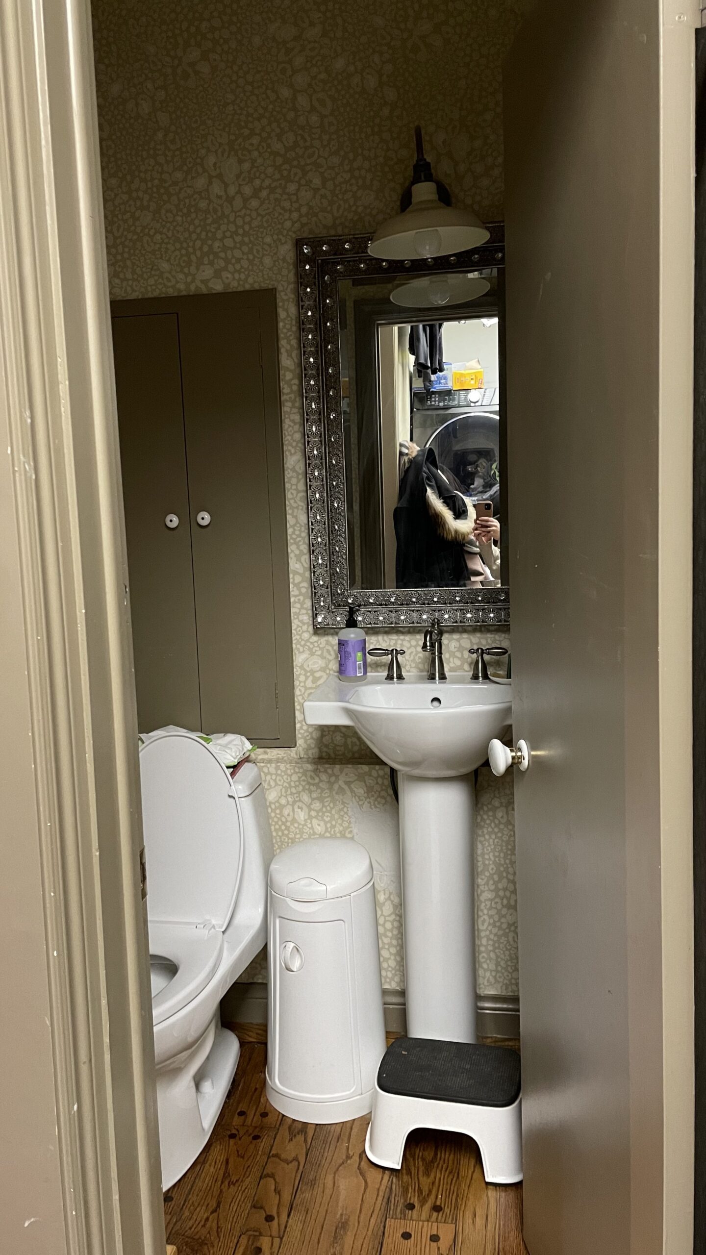 Client Reveal: A Moody Little Powder Room That Packs a Punch 2 moody powder room design
